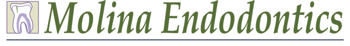 Molina Endodontics